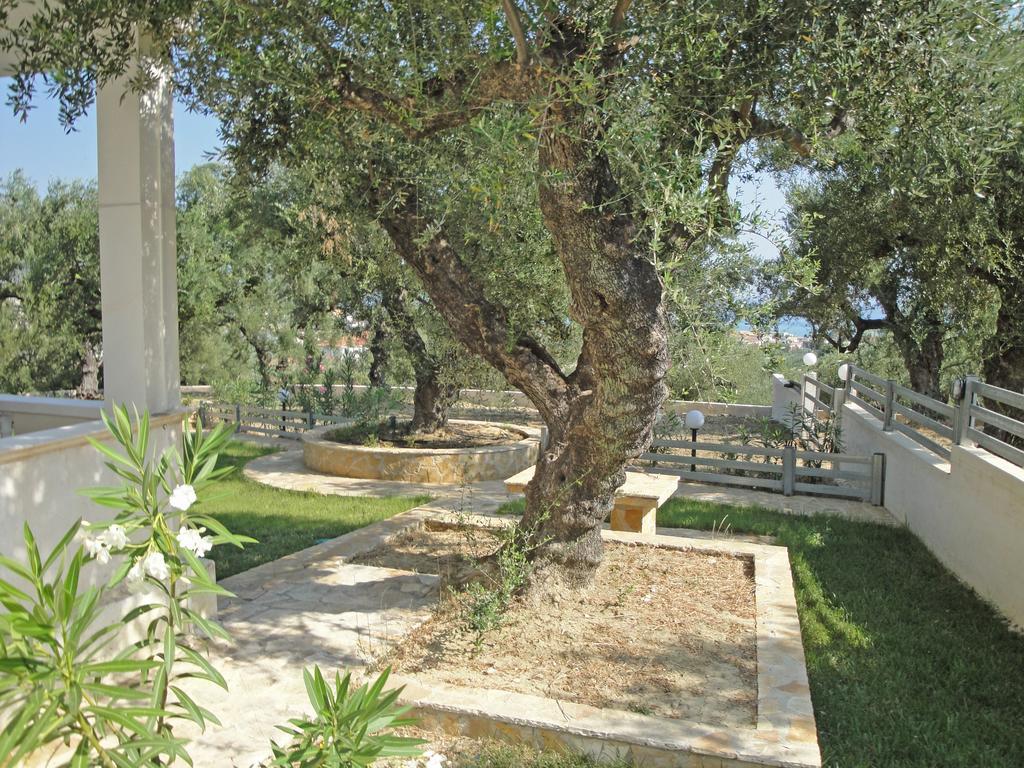 אליקס Pouliezos Koklanis Zante Apartments מראה חיצוני תמונה
